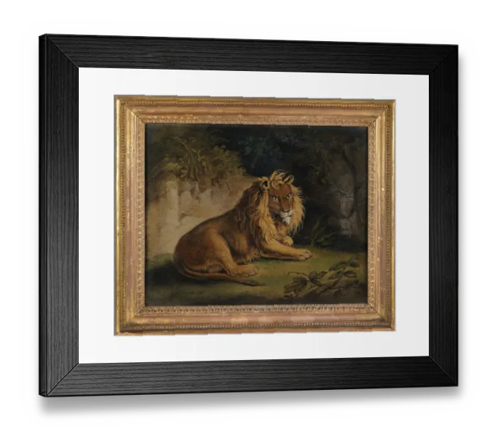 Framed Print : A Lion in a Jungle Landscape (sand-picture on board) Framed Print : A Lion in a Jungle Landscape (sand-picture on board)