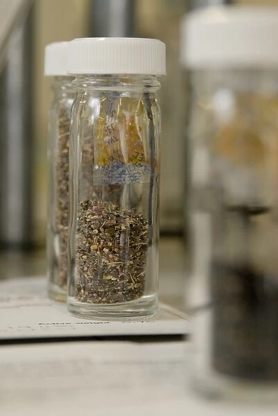 Seeds in jars ready for banking