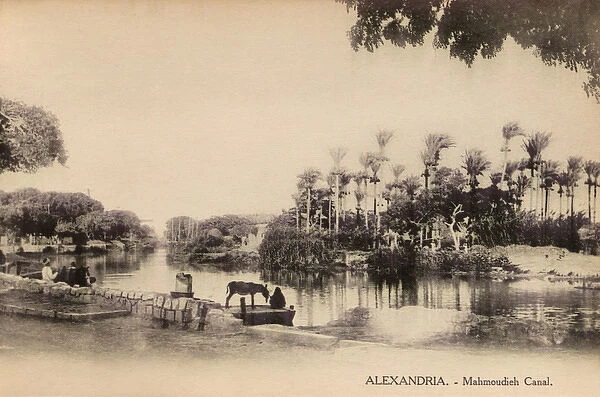 Alexandria, Egypt - The Mahmoudiyah Canal