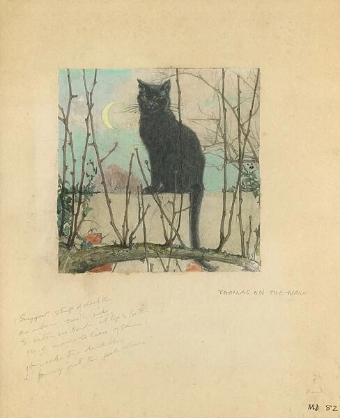 Black cat in garden by Muriel Dawson