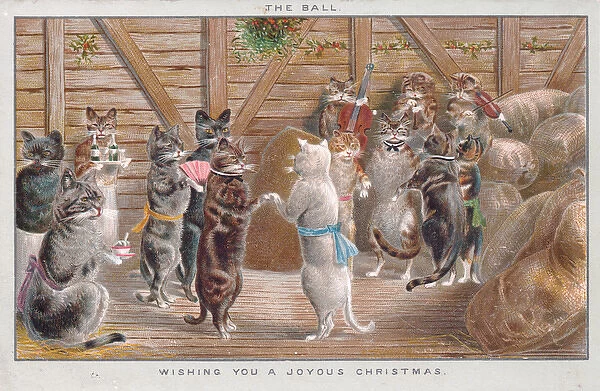 Cats enjoying a dance on a Christmas card