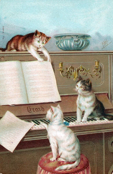 Three cats playing the piano on a greetings postcard
