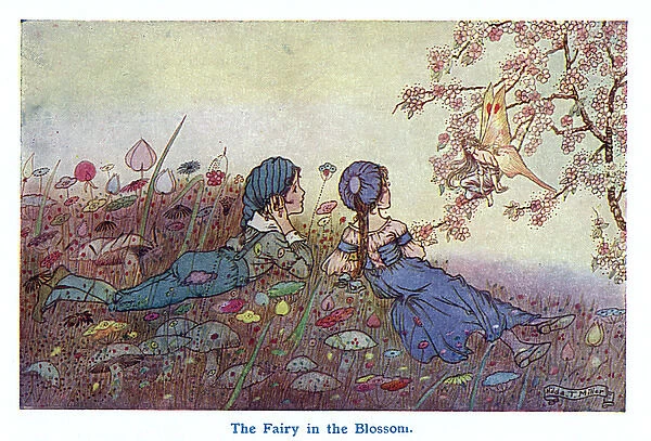 The Fairy in the Blossom