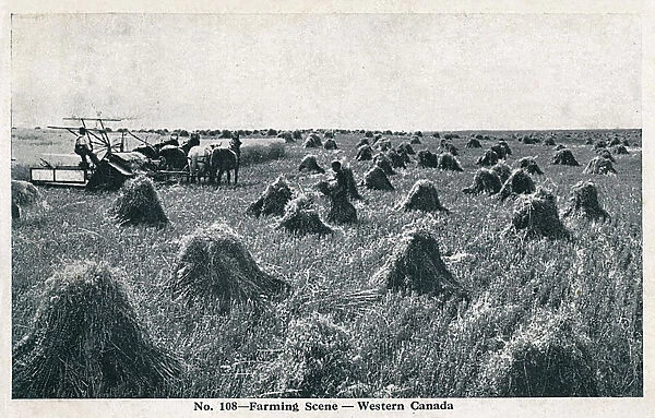 Farming Scene in Western Canada