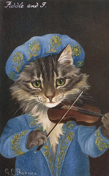 Fiddle and I - a cat strikes up a tune on his violin