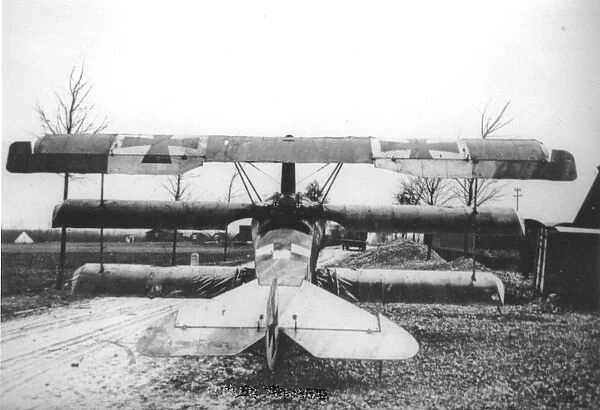 Fokker DrI, rear, (on the ground)