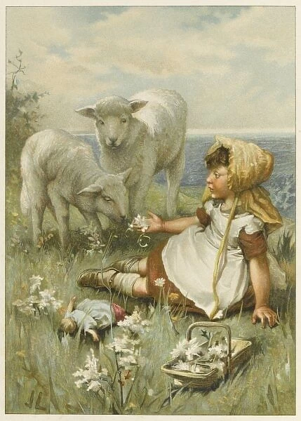Girl and Lambs