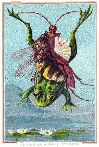 Insects riding on a frog on a Christmas card