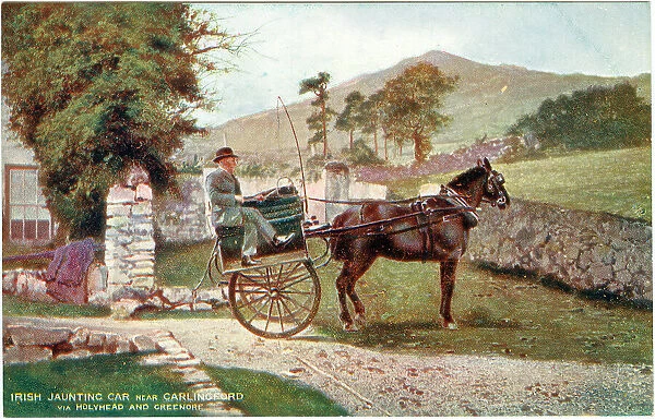 An Irish Jaunting Car pictured near Carlingford