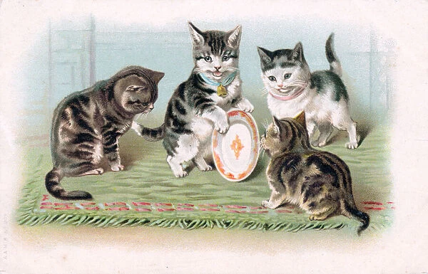 Four kittens with a plate on a postcard
