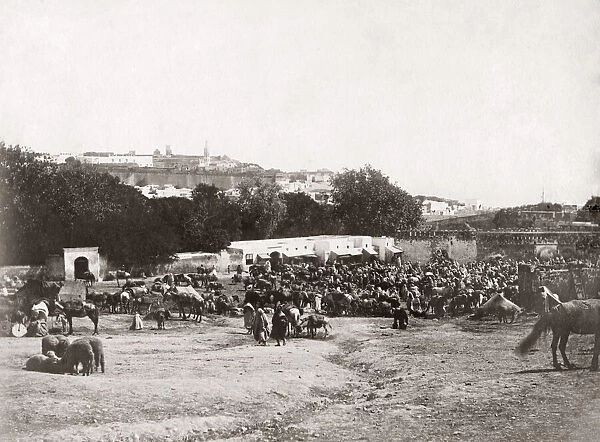 Mart, Tangier, Morocco, c. 1880s
