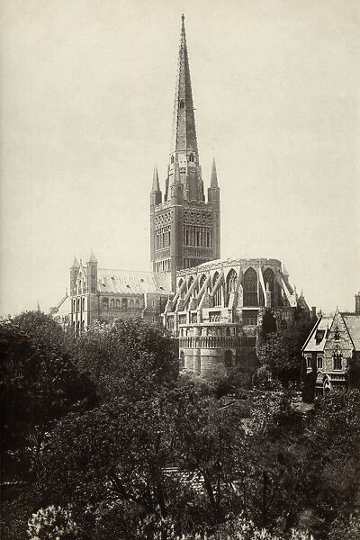 Norwich Cathedral, Norwich, Norfolk