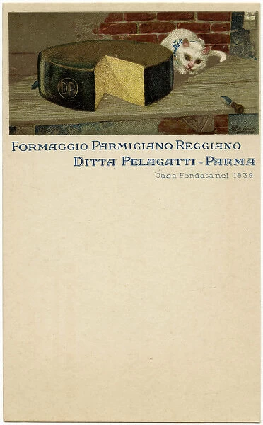Parmesan Cheese - Advertorial Trade Postcard