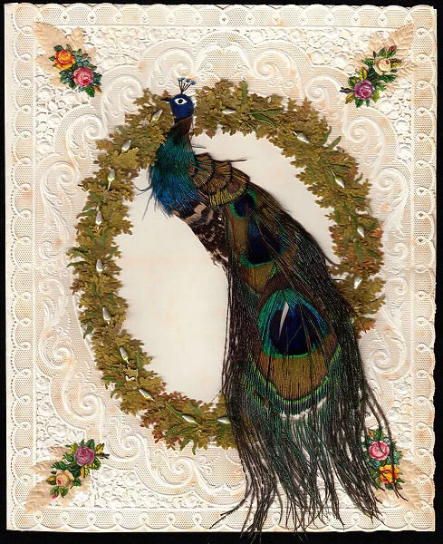 Peacock made with feathers on a paper lace card