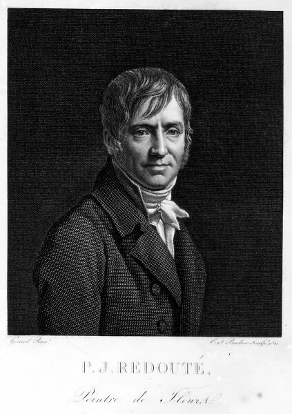 Pierre-Joseph Redoute (1759-1840)