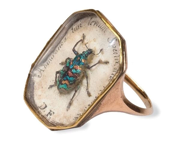 Ring with a weevil set in