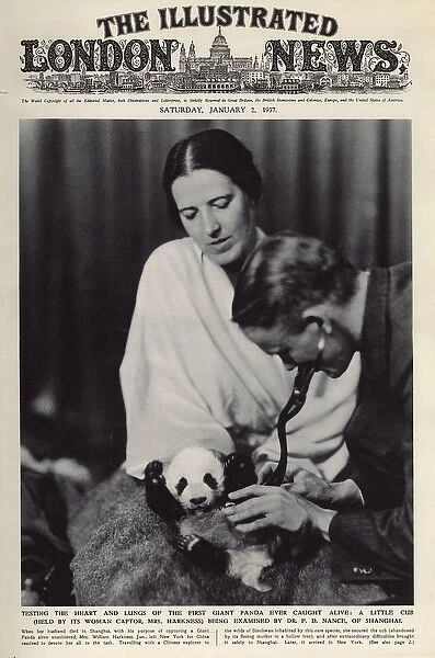 Ruth Harkness and her baby Giant Panda, Sun-Lin