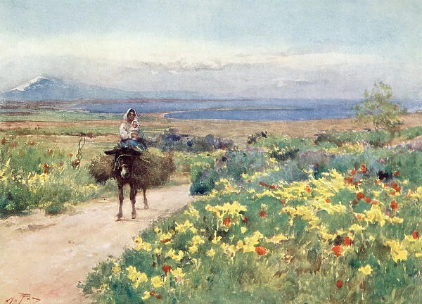 Sicily  /  Scenery 1911