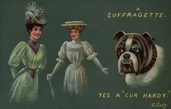 Suffragettes and Dog Cur Hardy