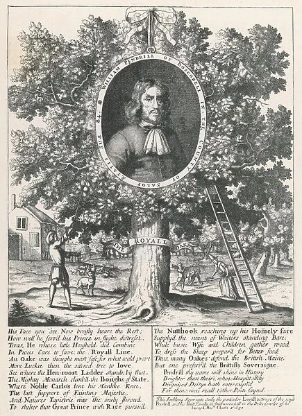 William Pendrill & the Boscobel Oak
