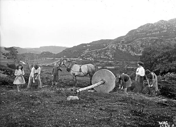 Women working upland field pulling a lint wheel over flax wi