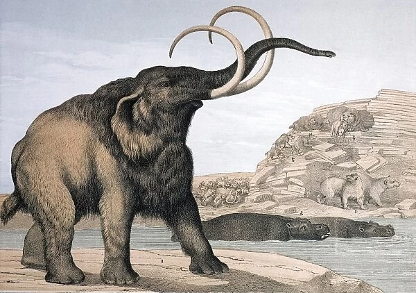 1862 British Mammoth with carnivores