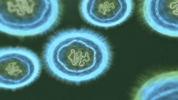 Bacterial DNA, conceptual artwork