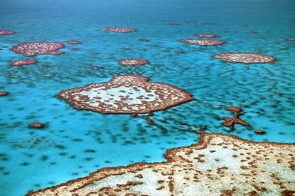 Great Barrier Reef, Australia C018  /  1804