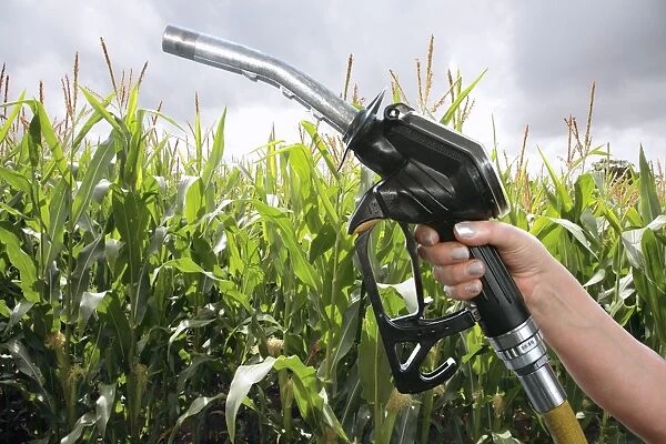 Maize biofuel, conceptual image