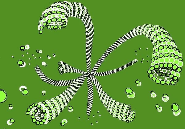 Microtubule formation, illustration C018  /  0804