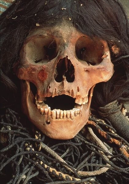 Mummified skull
