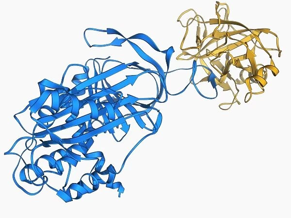 Proteinase inhibitor molecule F006  /  9394