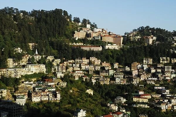 View of Shimla houses, Shimla, Himachal Pradesh, India, Asia
