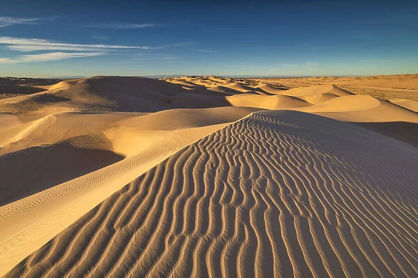 Imperial Sand Dunes National Recreation Area, California, USA