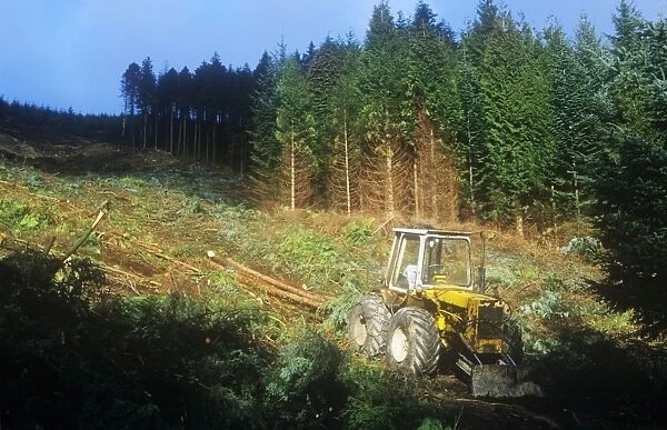 Harvesting timber above Thirlmere in the Lake district, UK
