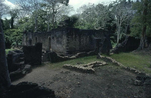 20062391. kenya, malindi, gedi, buildings of the ancient ruined 15th century city