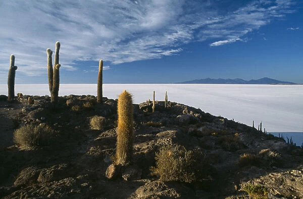 20065626. BOLIVIA Altiplano Potosi Salar de Uyuni