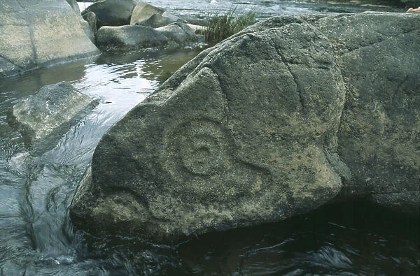 20069576. HONDURAS Walpaulban Sirpi Petroglyphs rock carving Rio Platano Biosphere Reserve