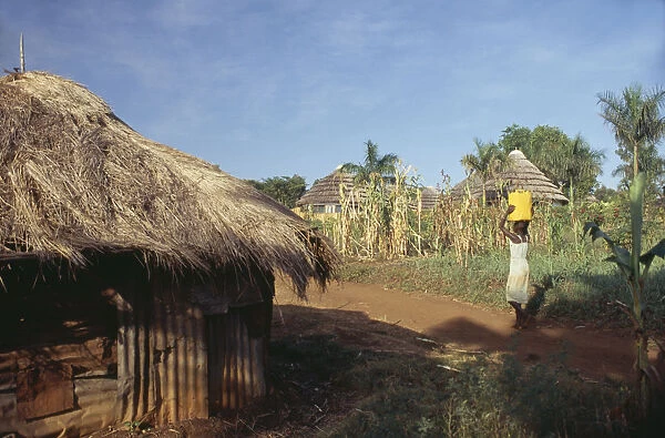 20069775. UGANDA Jinja Houses in countryside woman carrying container on her head