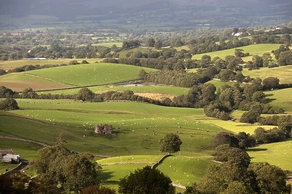 View of farmland with cattle and sheep in pasture, viewed from Wharton Fell overlooking Lammerside Castle, near Kirkby Stephen, Upper Eden Valley, Cumbria, England, september