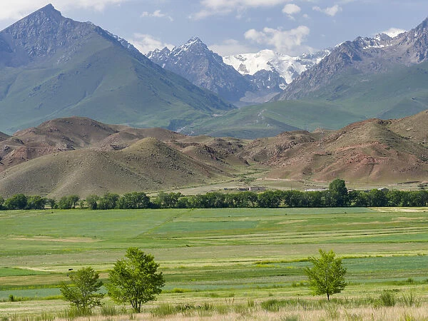 Agriculture near lake Issyk-Kul. Tien Shan mountains or heavenly mountains in Kirghizia