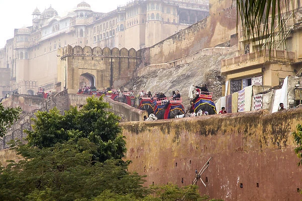 Asia, India, Rajasthan, Jaipur, ride through the main gate of the Amber Fort, on elephants
