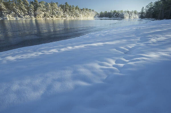 USA, New Jersey, Pine Barrens National Preserve. Snow-covered forest and lake shore