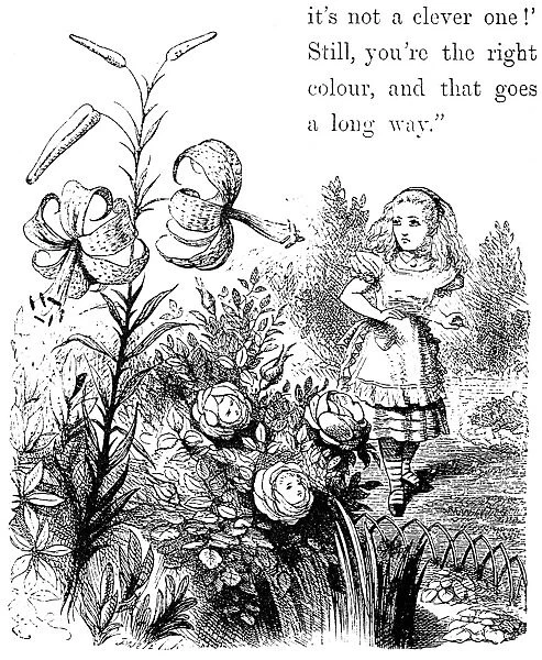 CARROLL: LOOKING GLASS. Alice in the Garden of Live Flowers