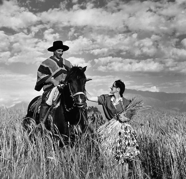 CHILE: GAUCHO, 1940. A woman petting a gauchos horse in a wheat field in Chile