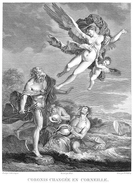 CORONIS. Coronis, pursued by Neptune, is transformed into a crow. Copper engraving, French, early 19th century, after a painting, 1665-70, by Giulio Carpioni
