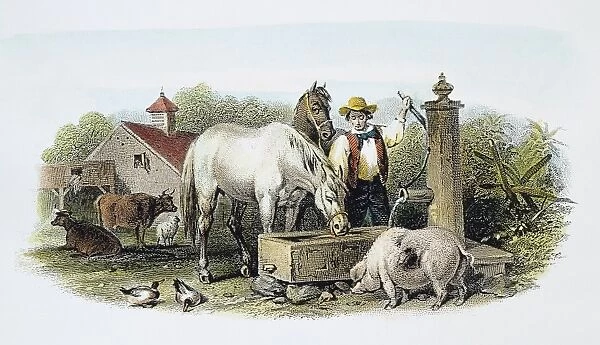 FARMER AT WELL, 1860. A 19th-century American farm scene: steel engraving, 1860