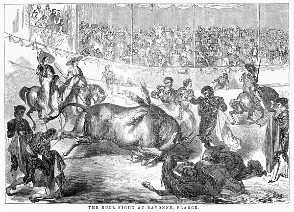 FRANCE: BULLFIGHT, 1856. A bullfight at Bayonne, France, near the Spanish border. Wood engraving, 1856