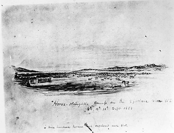 HORSE SLAUGHTER CAMP, 1858. The slaughter, ordered by U. S. Army Colonel George Wright, of between 800 and 900 horses, captured from the Palouse Indians, at the Spokane River, Washington Territory, September 1858. Contemporary drawing