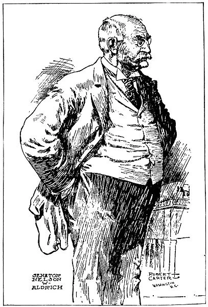 NELSON WILMARTH ALDRICH (1841-1915). American financier and politician. Drawing